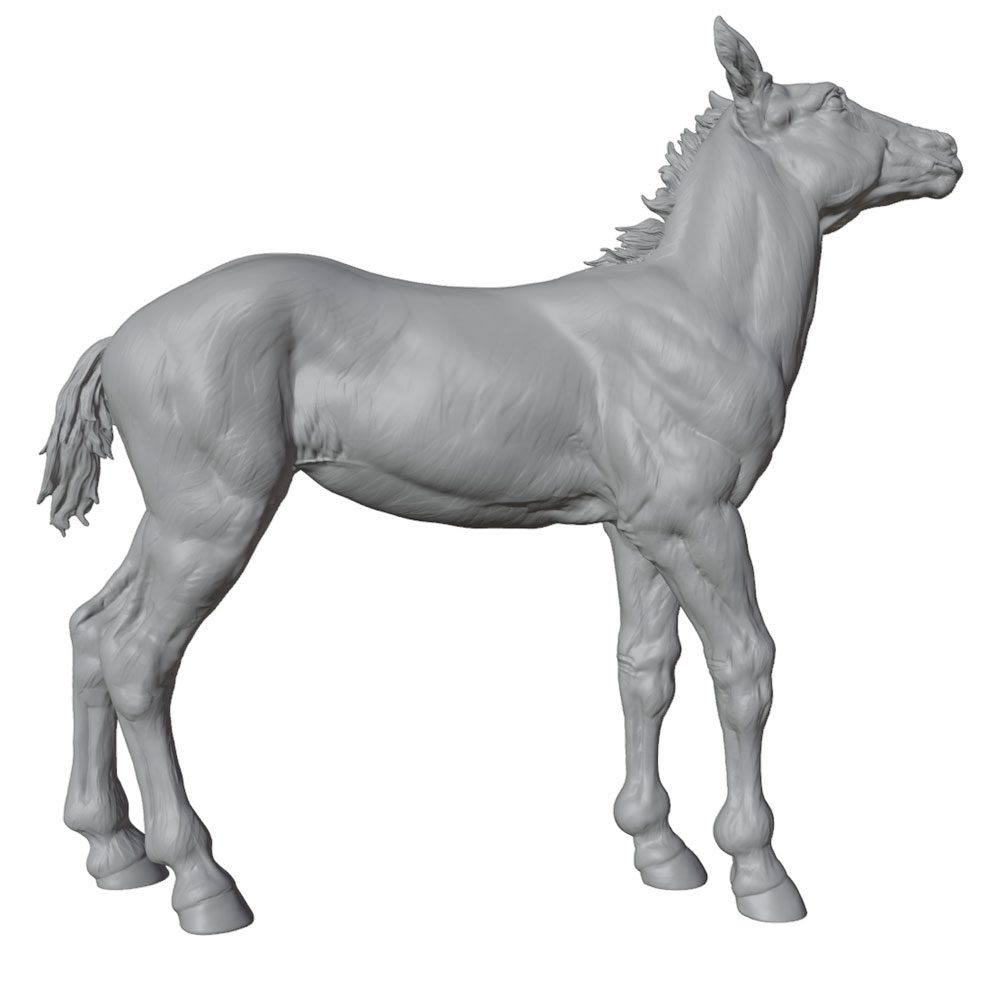 Высокодетализированная печать, – обзор и цена Model Kit Horse