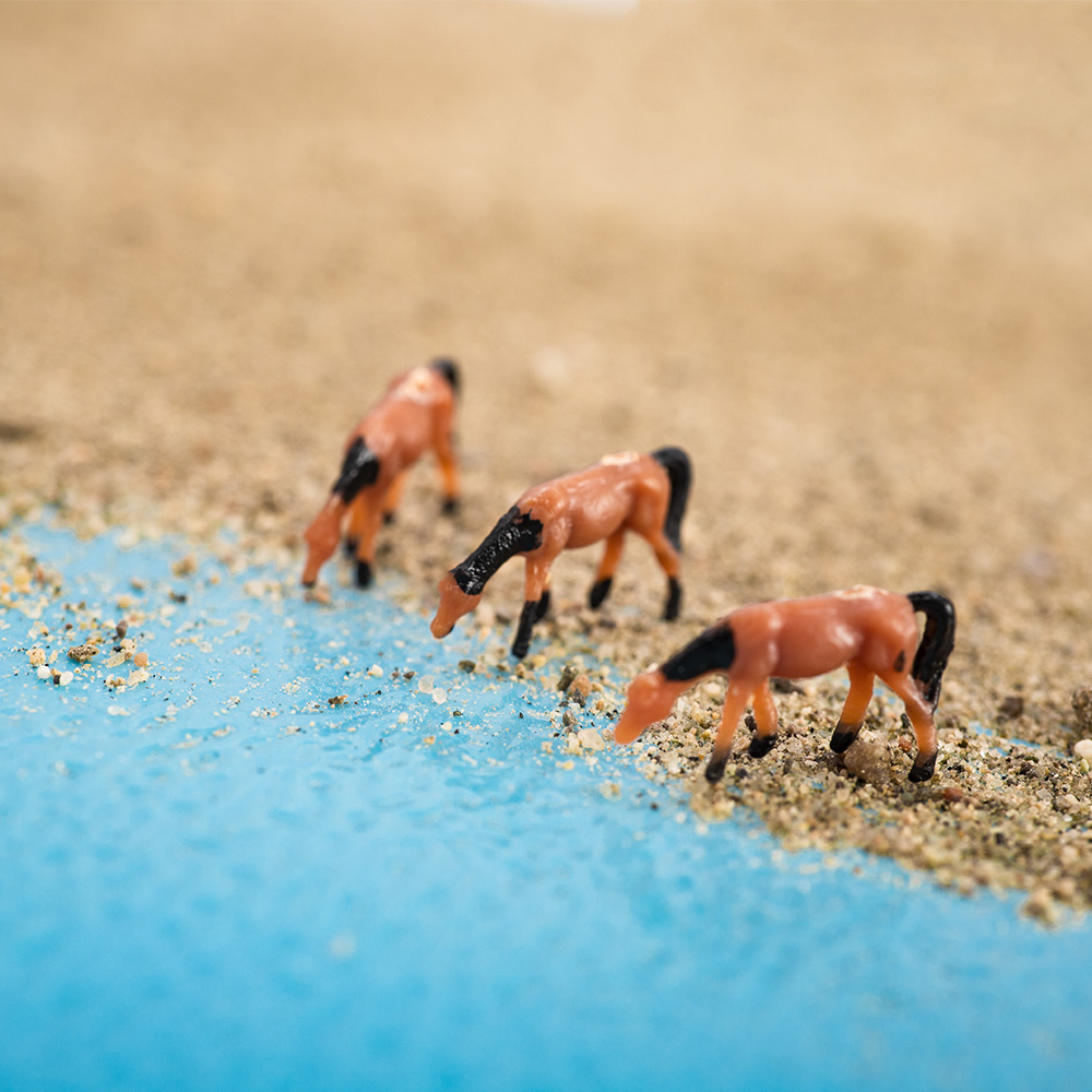 Масштаб 1:150, миниатюрная мод – обзор и цена Model Kit Horse